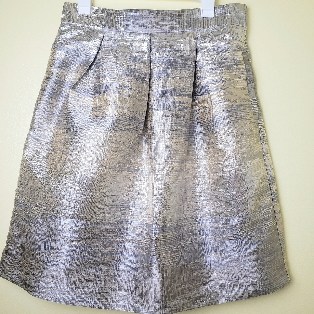 Pleated Skirt